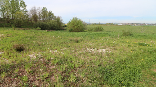 Lokacija: Podravska, Sveta Trojica v Slovenskih goricah, Zgornja Senarska