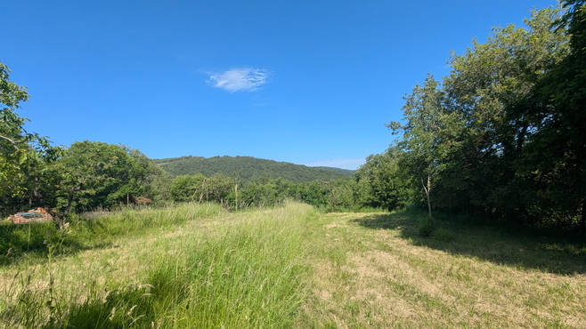 Lokacija: Obalno - kraška, Koper, Gabrovica pri Črnem Kalu
