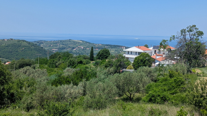 Lokacija: Obalno - kraška, Izola, Šared