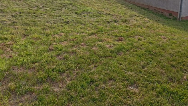 Lokacija: Pomurska, Gornja Radgona, Gornja Radgona