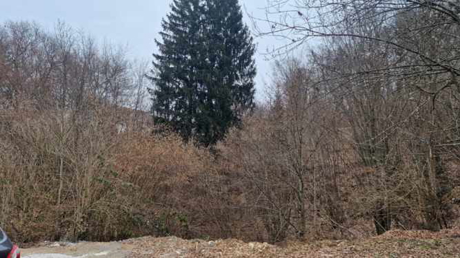 Lokacija: Ljubljana okolica, Škofljica, Škofljica