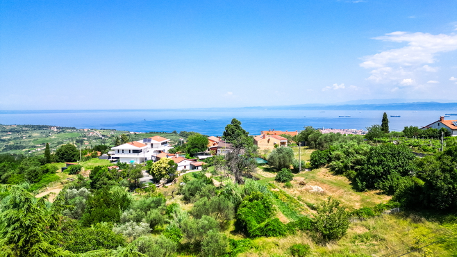 Lokacija: Obalno - kraška, Izola, Šared
