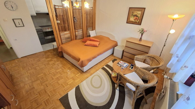 Lokacija: Savinjska, Celje, Celje