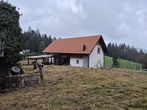 Lokacija: Koroška, Ribnica na Pohorju, ribnica na Pohorju
