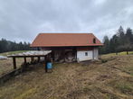 Lokacija: Koroška, Ribnica na Pohorju, ribnica na Pohorju
