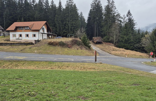 Lokacija: Koroška, Ribnica na Pohorju, ribnica na Pohorju