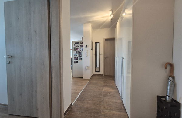 Lokacija: Podravska, Sveta Ana, Krivi Vrh