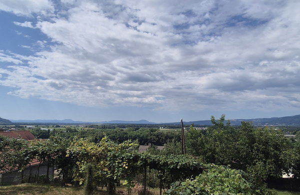 Lokacija: Podravska, Maribor, Malečnik