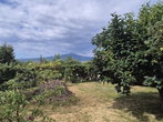 Lokacija: Podravska, Maribor, Malečnik