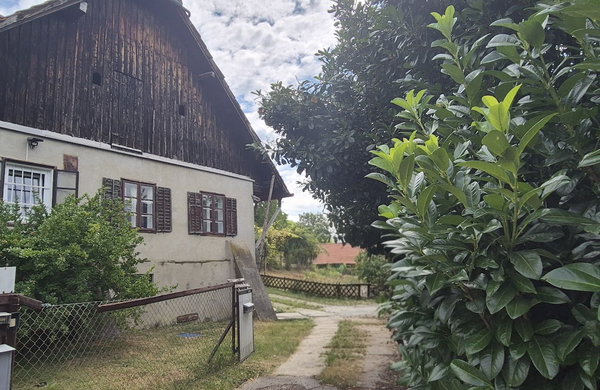 Lokacija: Podravska, Maribor, Malečnik