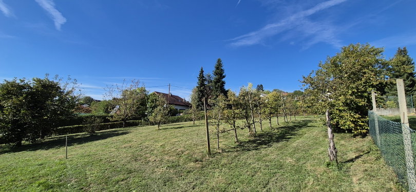 Lokacija: Podravska, Ormož, Velika Nedelja