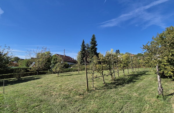 Lokacija: Podravska, Ormož, Velika Nedelja