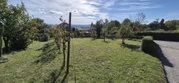 Lokacija: Podravska, Ormož, Velika Nedelja