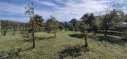 Lokacija: Podravska, Ormož, Velika Nedelja