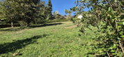 Lokacija: Podravska, Ormož, Velika Nedelja