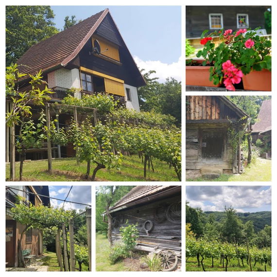 Lokacija: Podravska, Majšperk, Koritno
