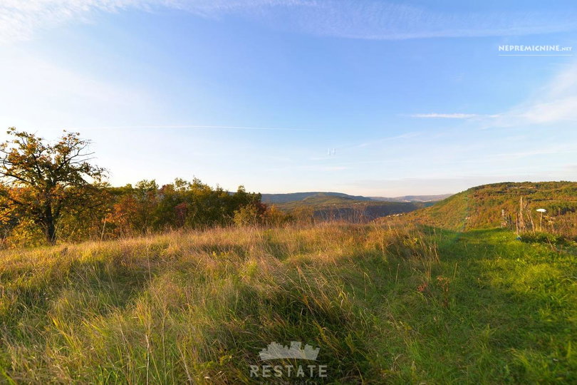 Lokacija: Hrvaška, Istarska županija, Buzet