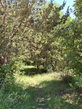 Lokacija: Hrvaška, Primorsko-goranska županija, Krk, Pinezići