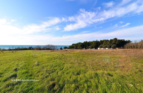 Lokacija: Hrvaška, Istarska županija, Umag