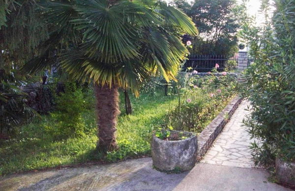 Location: Hrvaška, Istarska županija, Zambratija