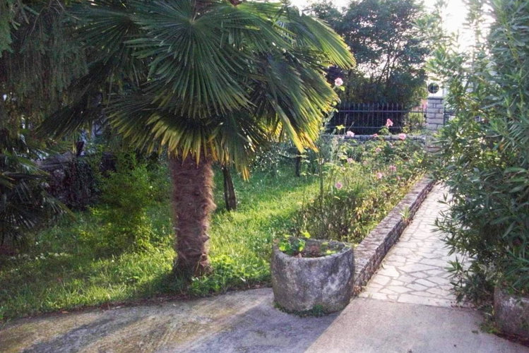 Lokacija: Hrvaška, Istarska županija, Zambratija