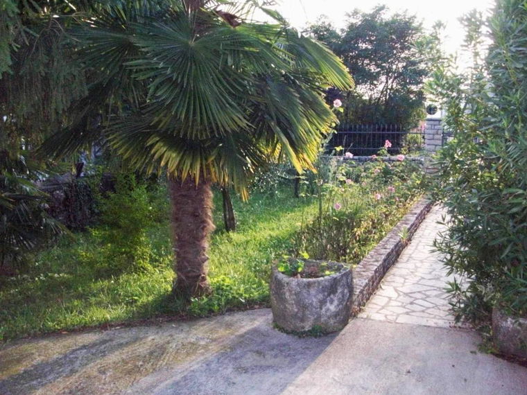 Location: Hrvaška, Istarska županija, Zambratija