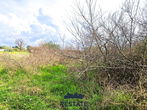 Location: Hrvaška, Istarska županija, Umag