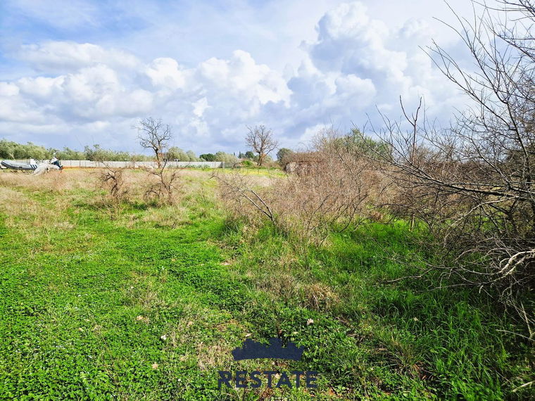 Location: Hrvaška, Istarska županija, Umag