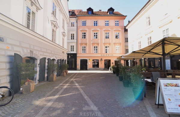 Lokacija: Ljubljana mesto, Center, Center