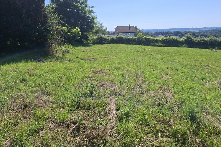 Location: Podravska, Lenart, Nadbišec