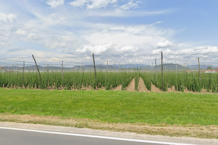 Location: Savinjska, Žalec, Dobriša Vas