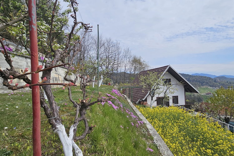 Lokacija: Savinjska, Žalec, Hramše