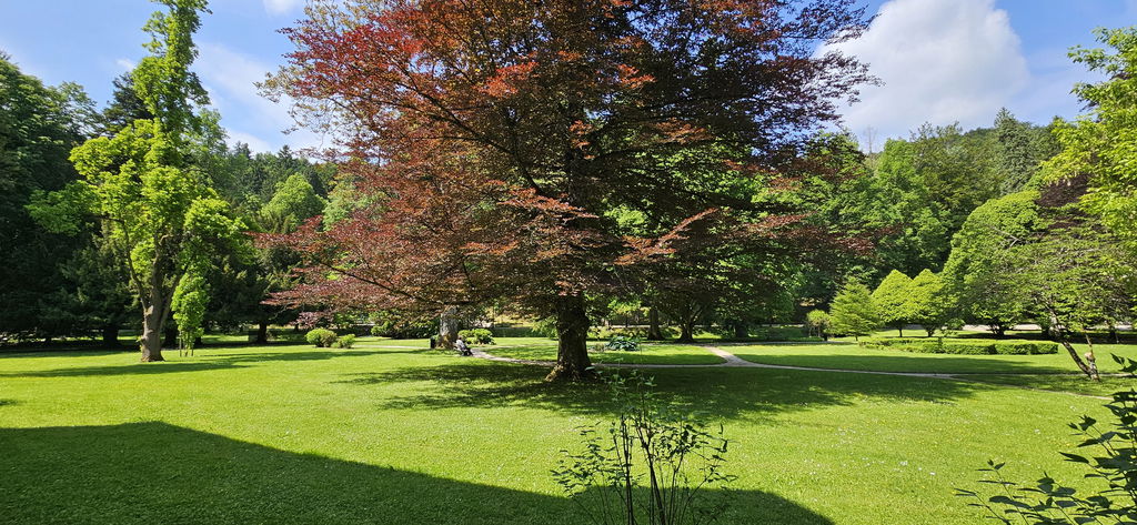Stanovanje 