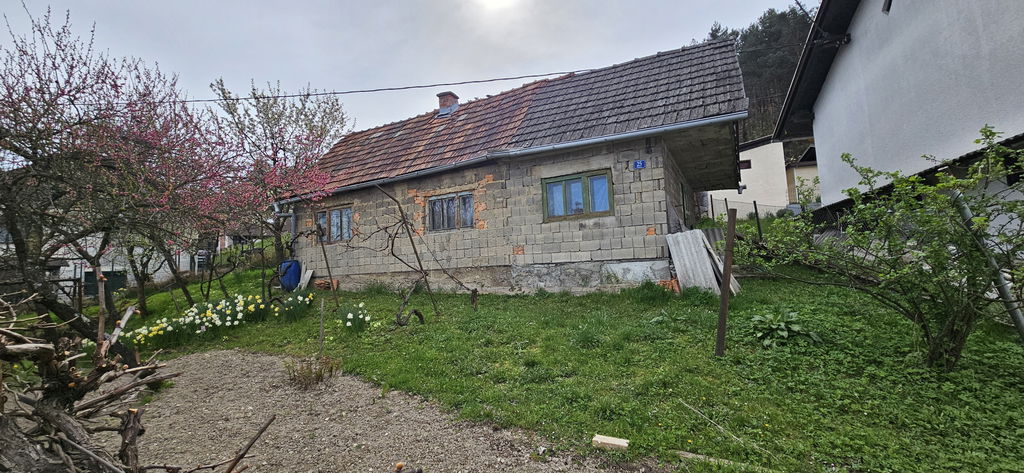 Hiša 