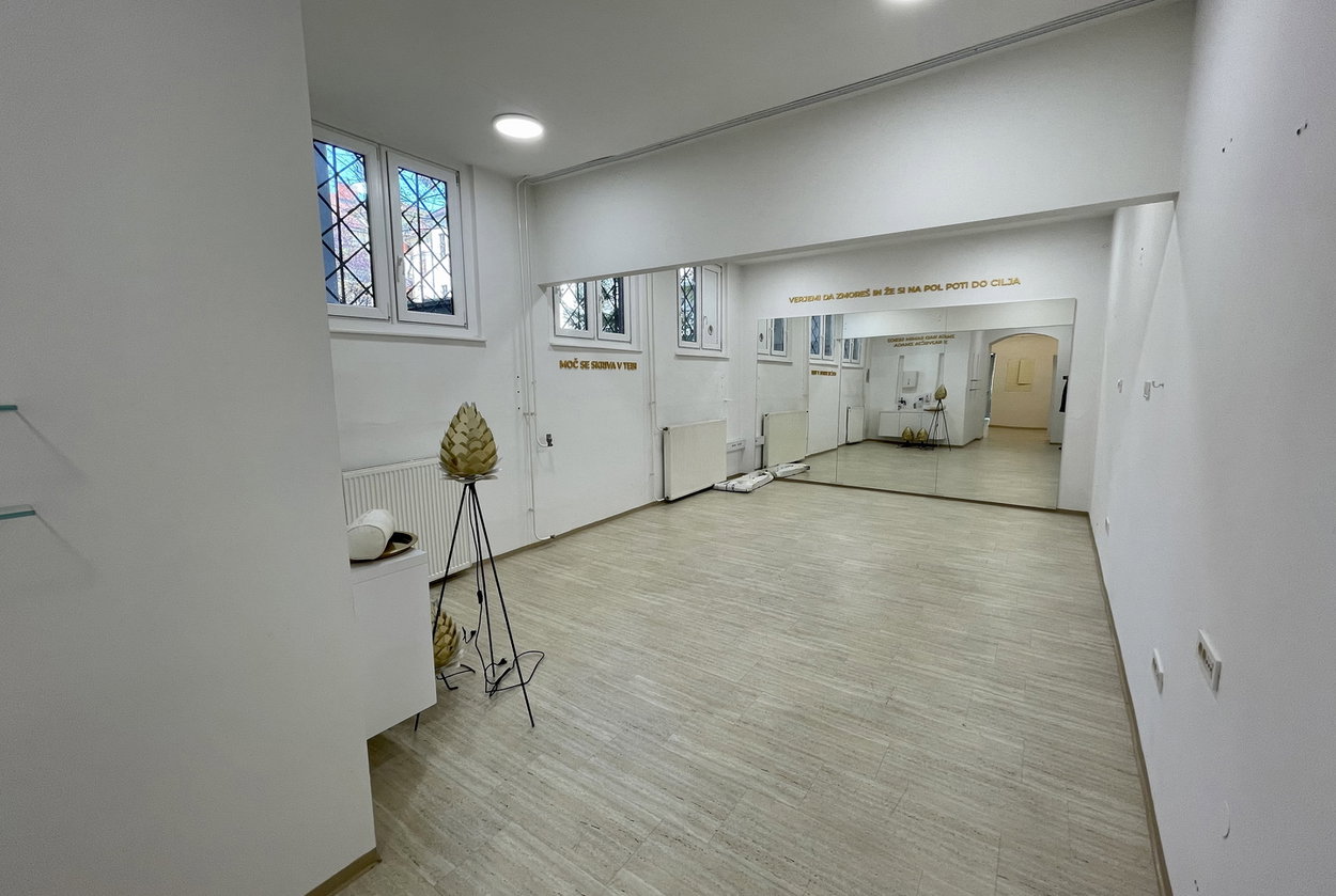 Lokacija: Ljubljana mesto, Center, Center