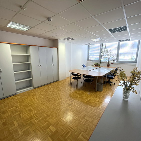 Lokacija: Ljubljana mesto, Moste-Polje, BTC