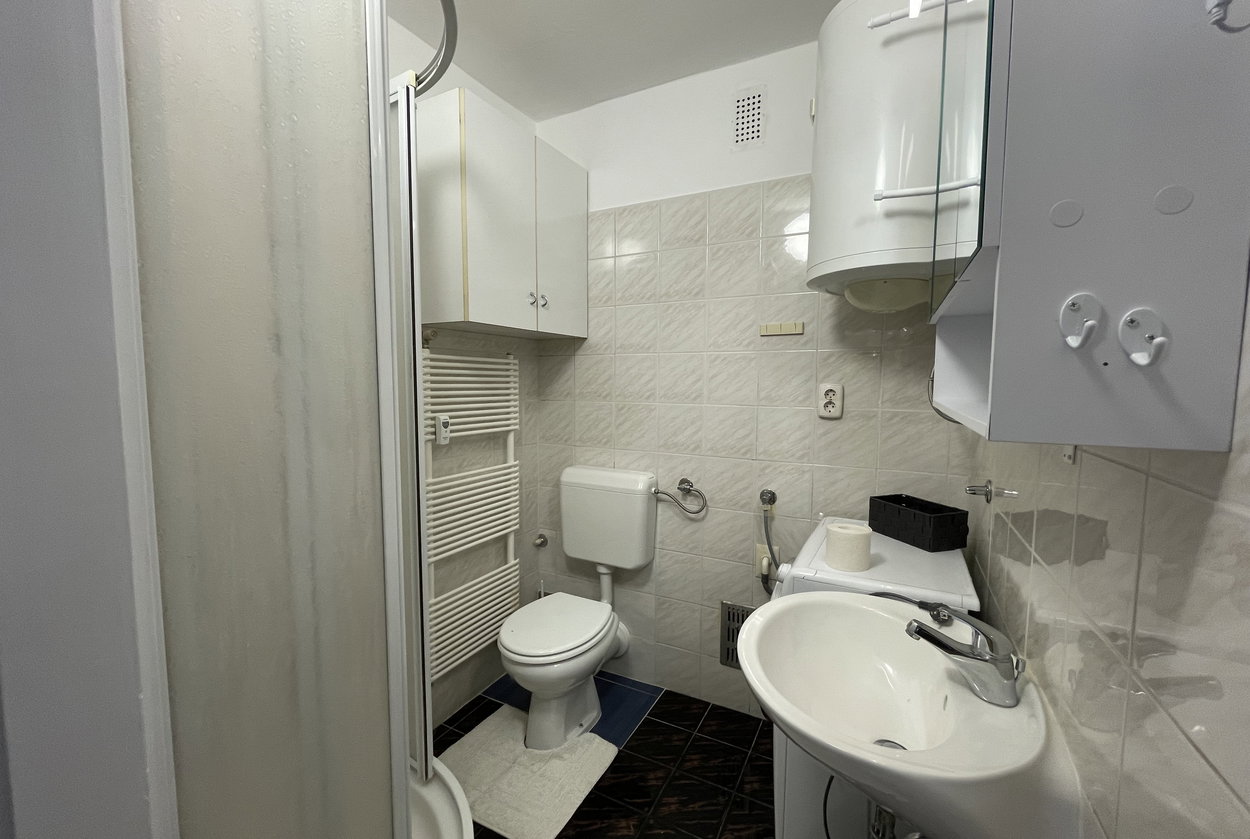 Lokacija: Ljubljana mesto, Vič-Rudnik, Trnovo