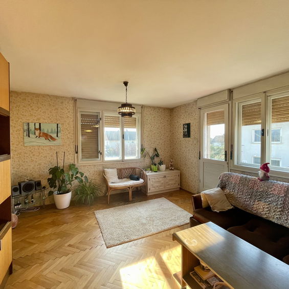 Lokacija: Ljubljana okolica, Brezovica, Brezovica pri Ljubljani