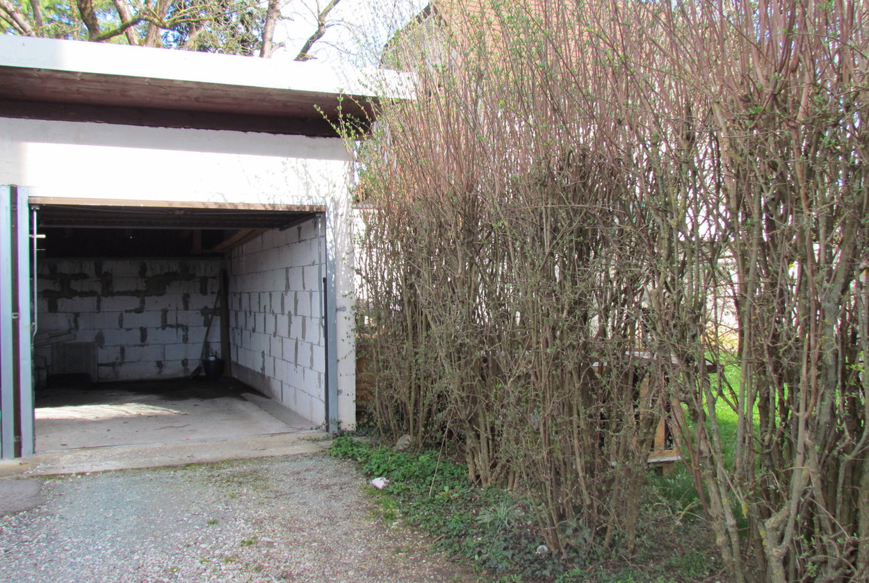 Lokacija: Ljubljana mesto, Moste-Polje, Moste