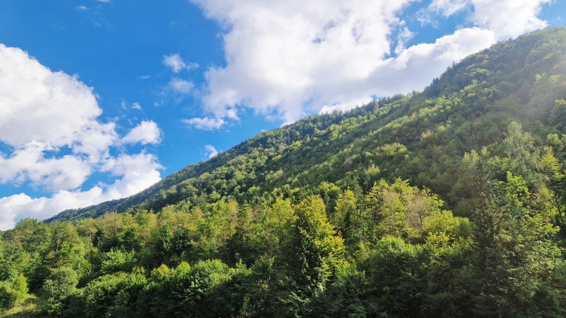 Lokacija: Ljubljana okolica, Kamnik, Potok v Črni