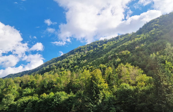 Lokacija: Ljubljana okolica, Kamnik, Potok v Črni