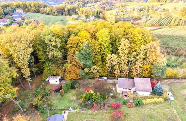 Lokacija: Podravska, Pesnica, Jelenče