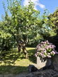 Lokacija: Ljubljana okolica, Kamnik, Mekinje