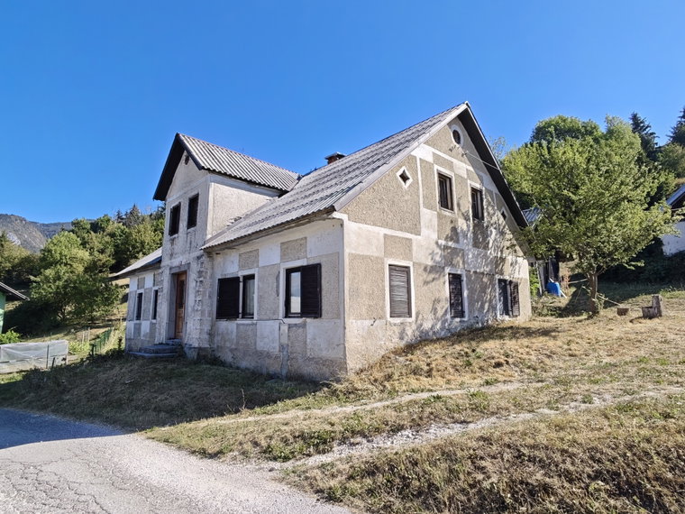 Lokacija: Ljubljana okolica, Kamnik, Gozd
