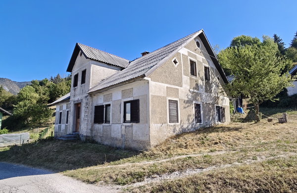 Lokacija: Ljubljana okolica, Kamnik, Gozd