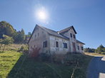 Lokacija: Ljubljana okolica, Kamnik, Gozd