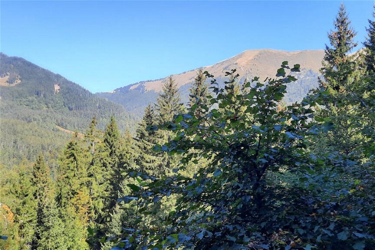 Lokacija: Gorenjska, Jesenice, Planina pod Golico