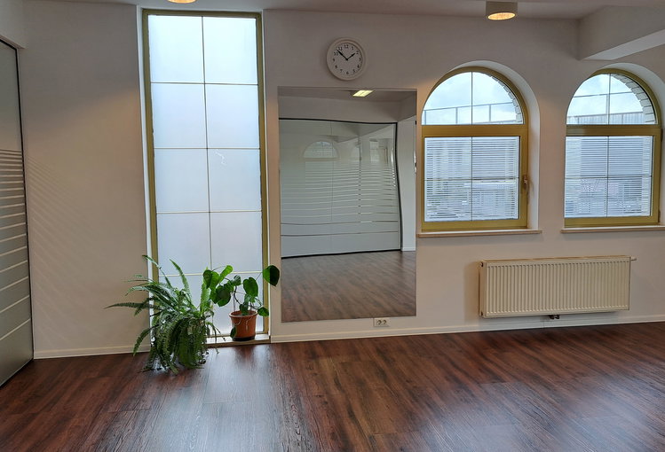 Lokacija: Ljubljana mesto, Vič-Rudnik, Dolgi most