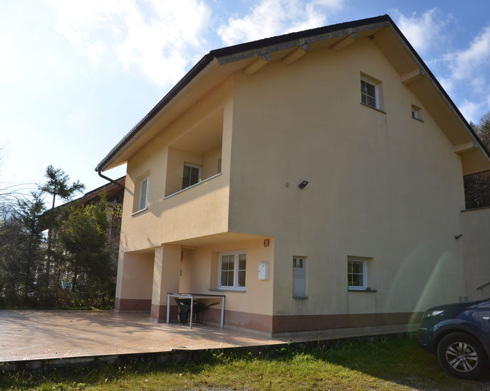 Lokacija: Ljubljana okolica, Velike Lašče, Velike Lašče