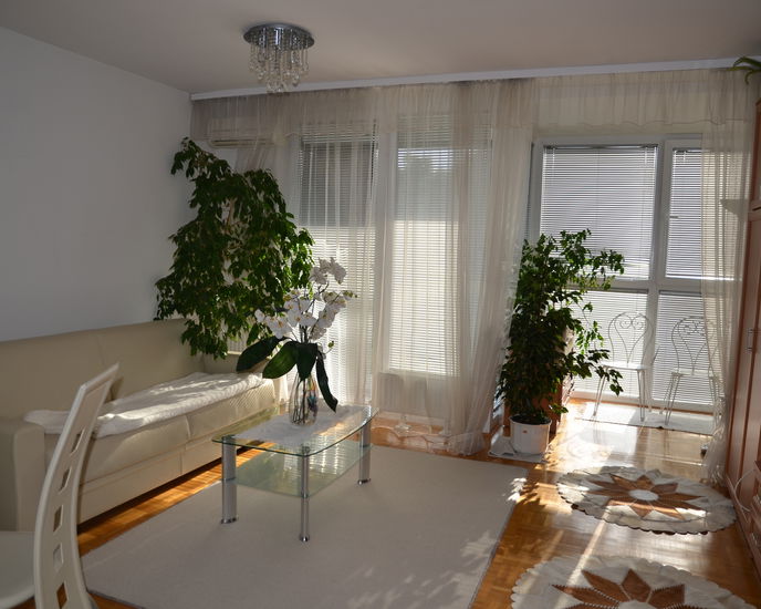 Location: Ljubljana City, Center, Poljane